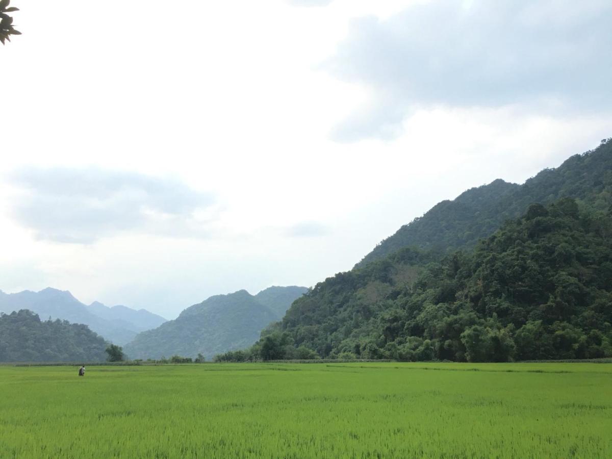 Hoang Quan Homestay Ba Be Buitenkant foto